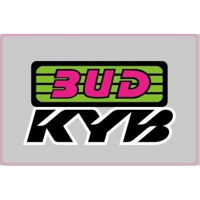 Déco de protection de fourches BUD / KYB (paire) 