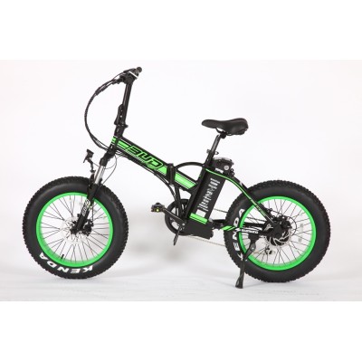 Vélo électrique pliable Bud Noir/Vert 