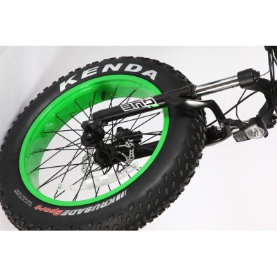 Vélo électrique pliable Bud Noir/Vert 