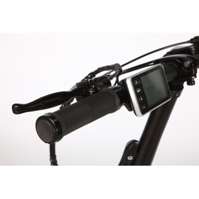 Vélo électrique pliable Bud Noir/Vert 