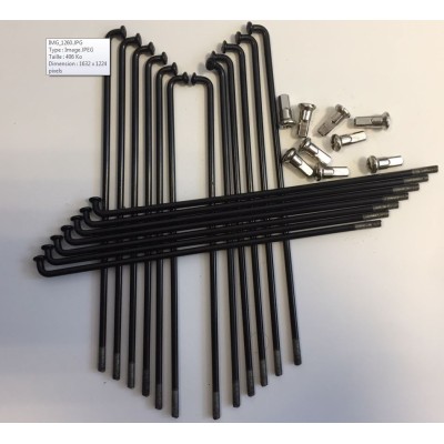 Rayons+têtes velo pliable Bud Racing 
