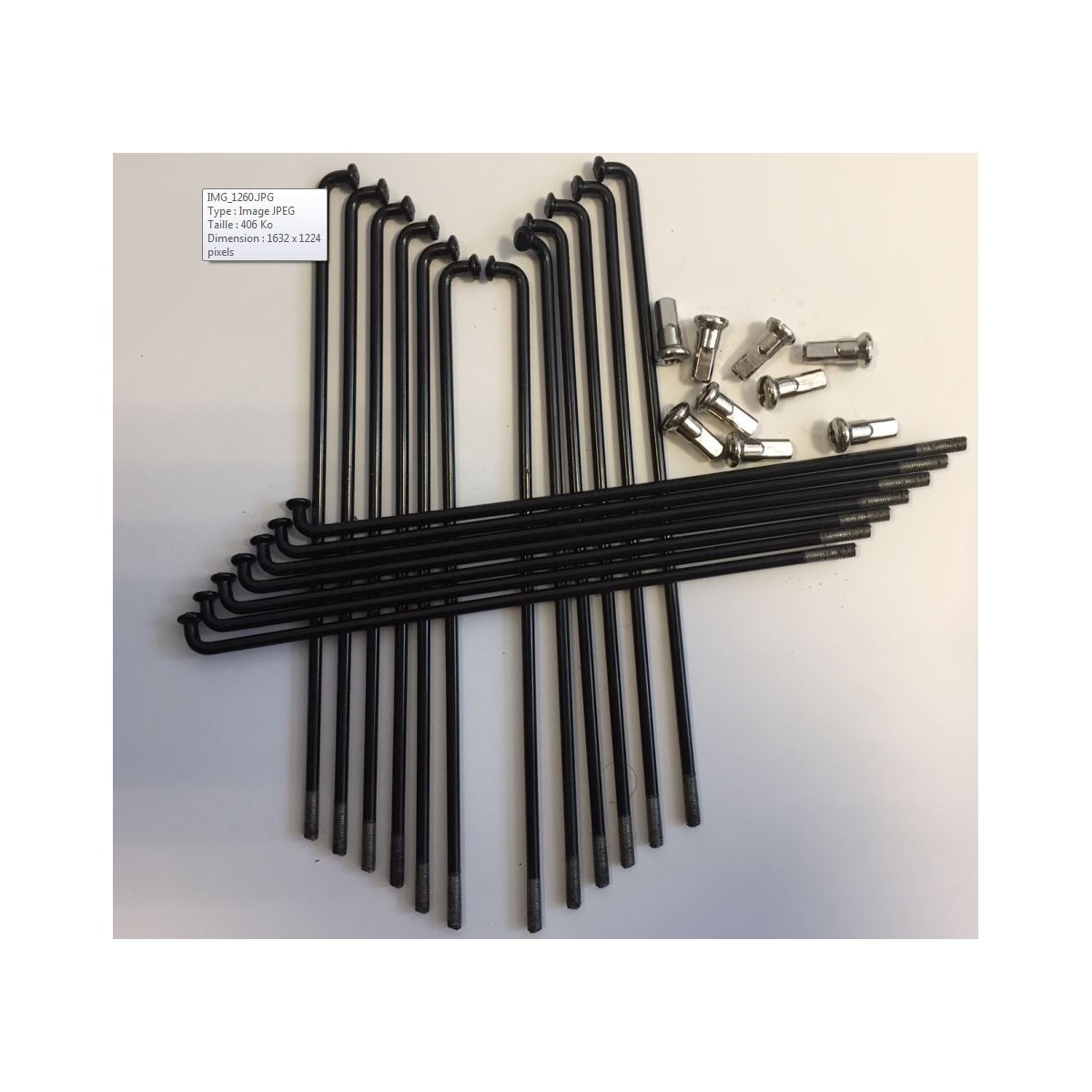Rayons+têtes velo pliable Bud Racing 