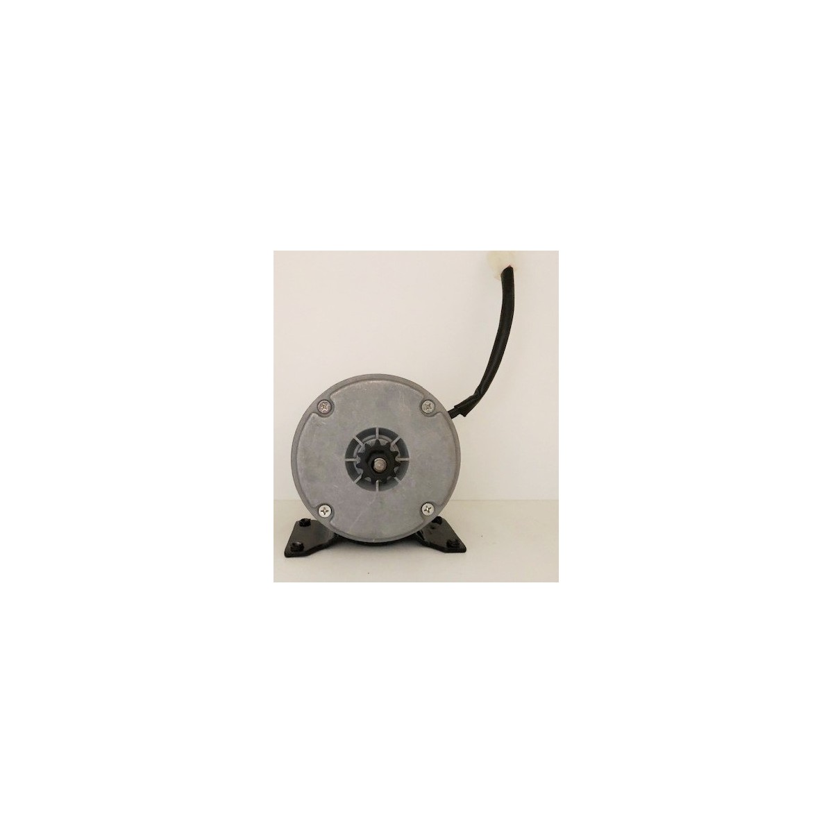 Moteur pour Draisienne électrique BUD Mini E push 