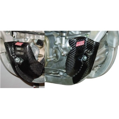 Protection carters carbone (la paire) 