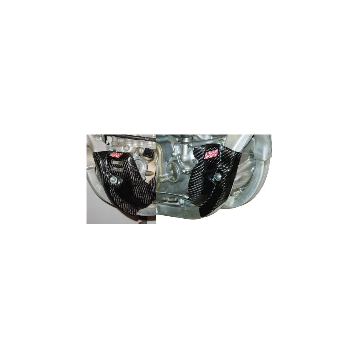 Protection carters carbone (la paire) 