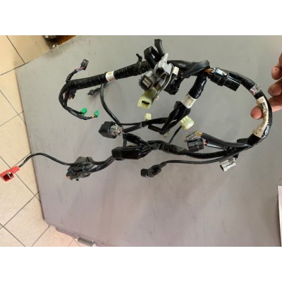 Faisceau complet 450 KXF 2019 