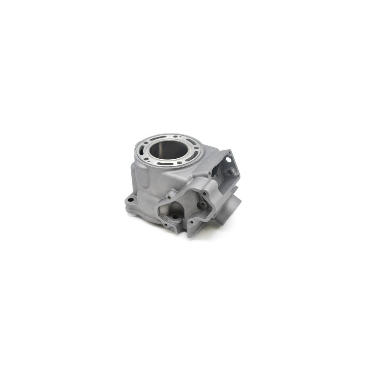 Cylindre seul OEM type 50 SX 09/23 +TC 17/23 + Gas 21/23 D.39.50mm 