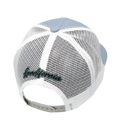 Casquette Bud Trainning Camp Gris Cuir 