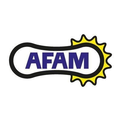 PIGNON AFAM #520 70600 