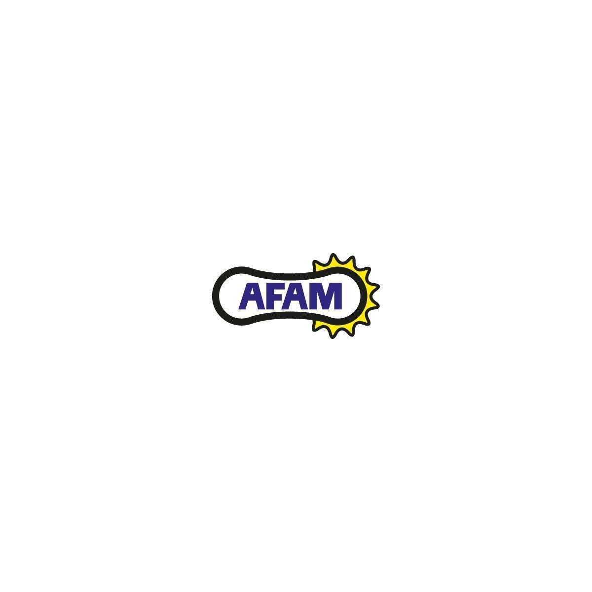 PIGNON AFAM #520 70600 