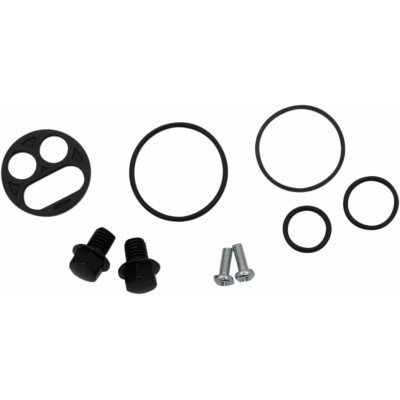 Kit de reconditionnement pour robinet d’essence 